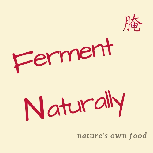 Images shows a poster labeled "Ferment Naturaly" and slogan "nature's own food"